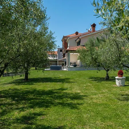 Appartement Vista Olivo *